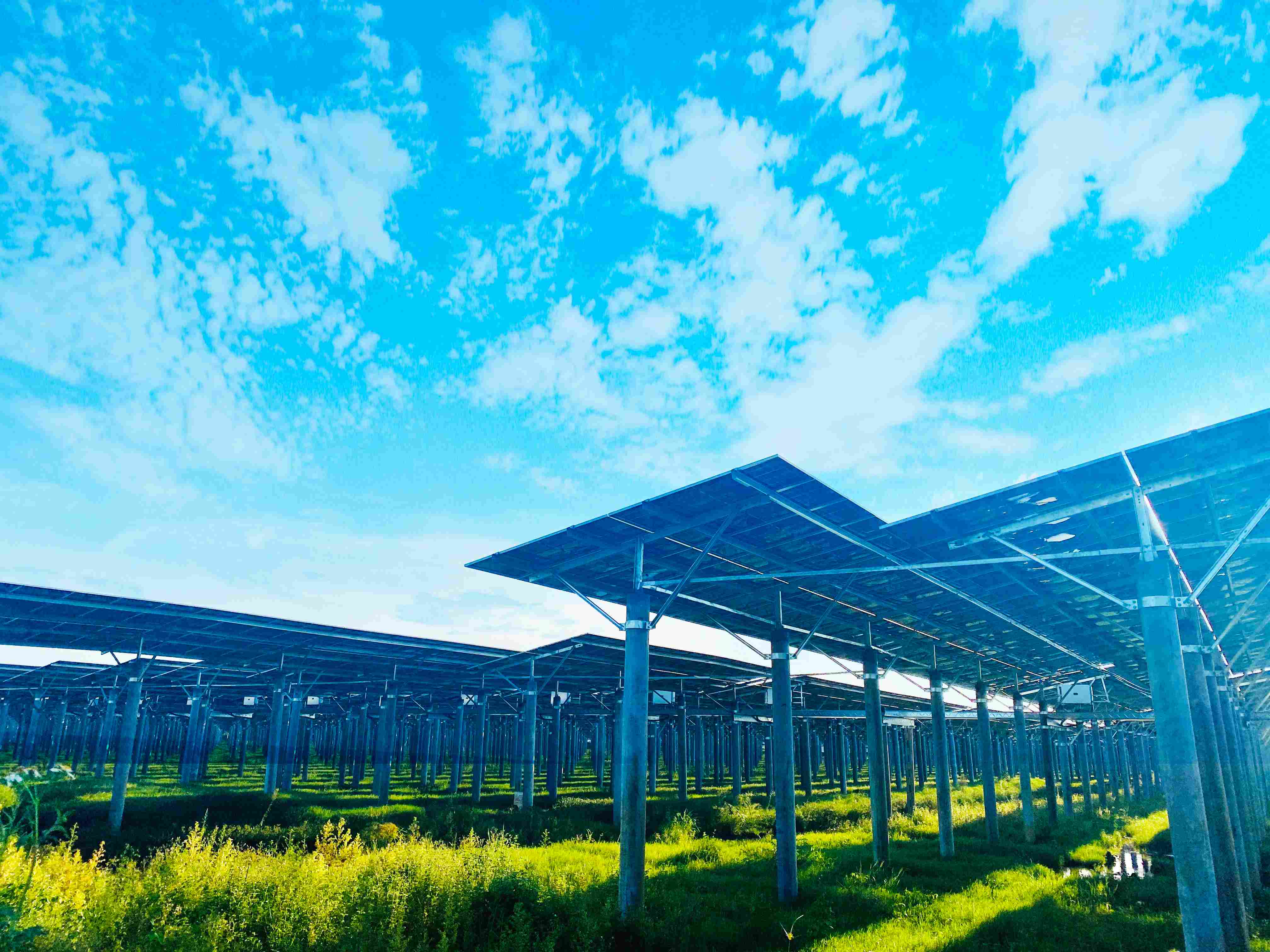 pg麻将胡了(官方版)破解/试玩/爆分官方网站